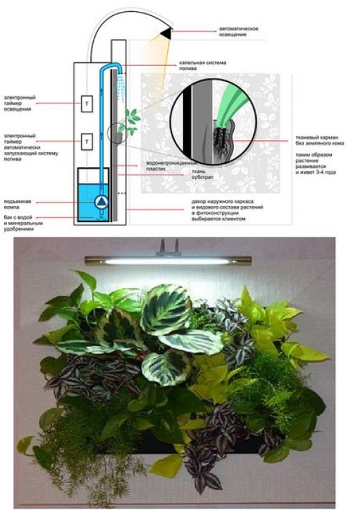 Вертикальное озеленение своими руками. 06