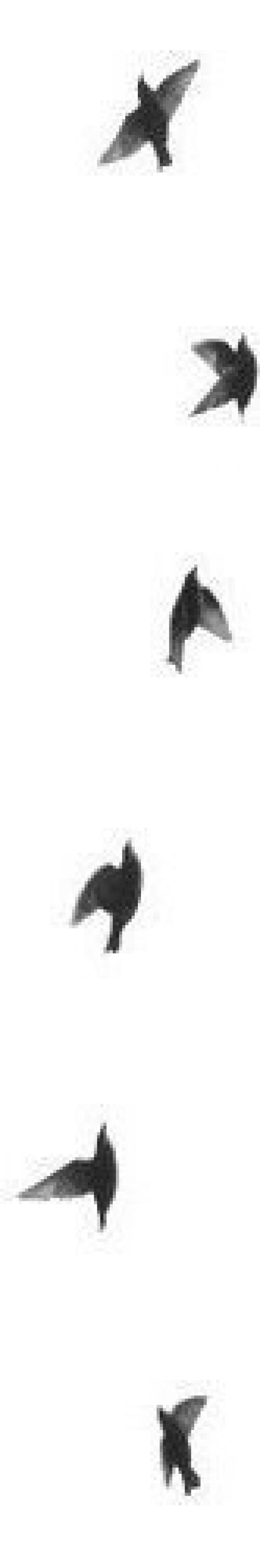 Советы_PRT?   Как сделать свою комнату более уютной и приятной? 04