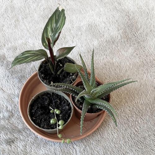 Что-то в скандинавском дизайне интерьера есть волшебное и умиротворяющее. 05