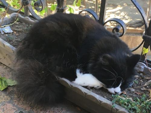 Третий день путешествия во Владивостоке мы начали с дома путешественника в. к. Арсеньева. 08