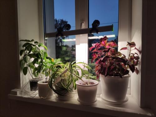 Последние полгода в интерьере студии большие изменения происходят. 01