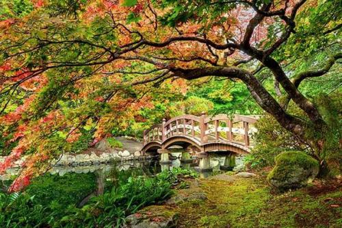 Средневековый замок хэтли на острове Ванкувер. 05