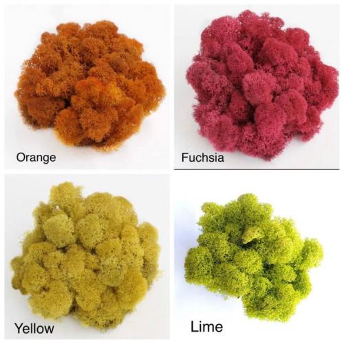 Домочадцев и гостей удивить? 04 Домочадцев и гостей удивить? 04