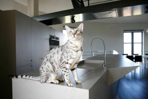 Дом в водонапорной башне от студии дизайна Bham. 09