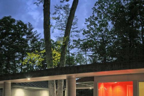 Построен дом с декорациями из живого деревf. 01