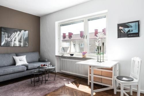 Крохотная шведская студия площадью 24 кв. 04