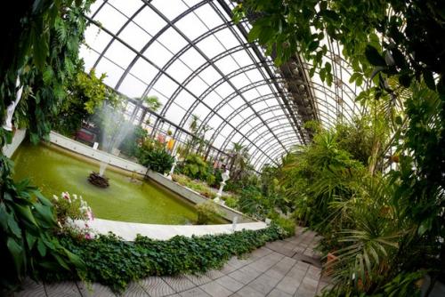 25 самых интересных мест для фотосессий в питере. 09 25 самых интересных мест для фотосессий в питере. 09