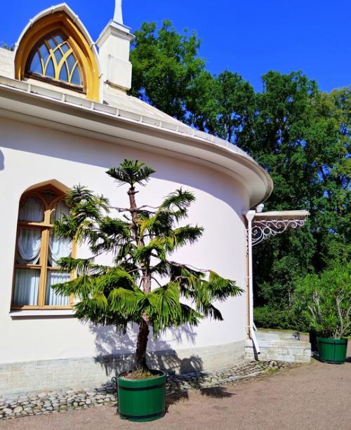 Есть в парке Александрия ещё одно необычное здание в неоготическом стиле. 06 Есть в парке Александрия ещё одно необычное здание в неоготическом стиле. 06