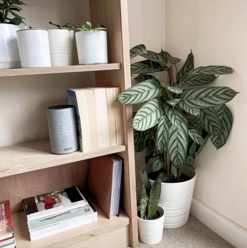 Что-то в скандинавском дизайне интерьера есть волшебное и умиротворяющее. 04