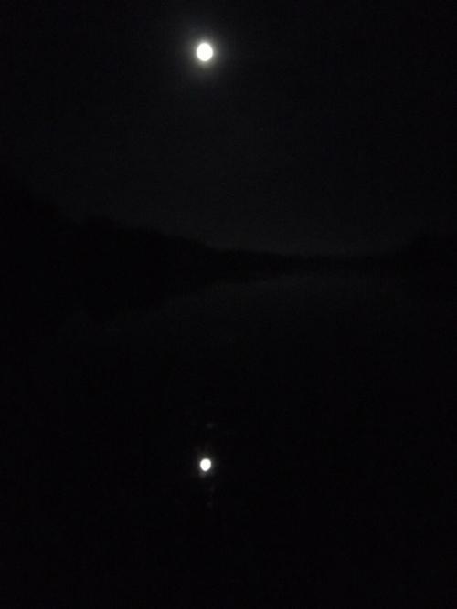 В каргопольский сектор кенозерского парка мы поздно ночью приехали. 01