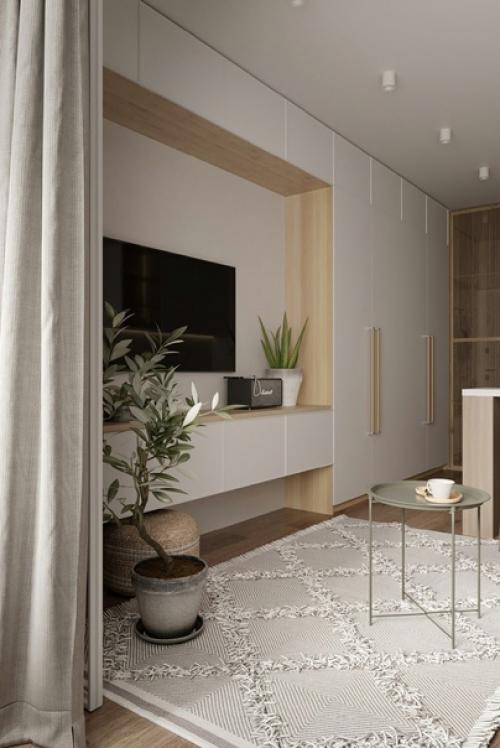 Небольшая квартира (23 кв. 01