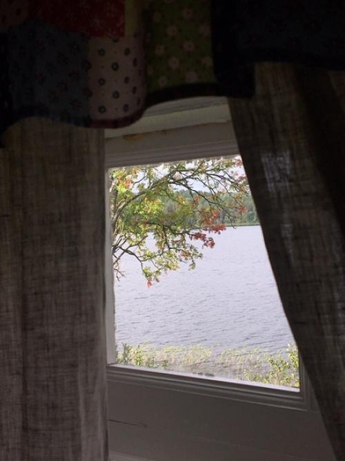 В каргопольский сектор кенозерского парка мы поздно ночью приехали. 05