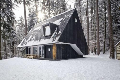 Лесной дом шопфхольц (Forsthaus Chopfholz) в Швейцарии от G O A - Gerber Odermatt Architekten. 01