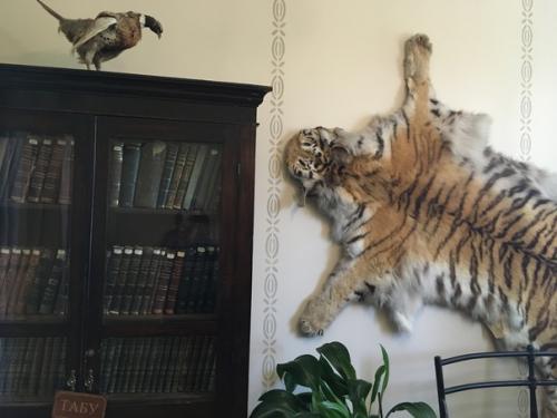 Третий день путешествия во Владивостоке мы начали с дома путешественника в. к. Арсеньева. 01