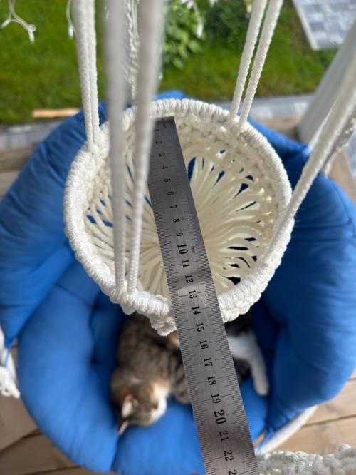 Чем бы дитя не тешилось … лишь бы ужин не готовить. 03