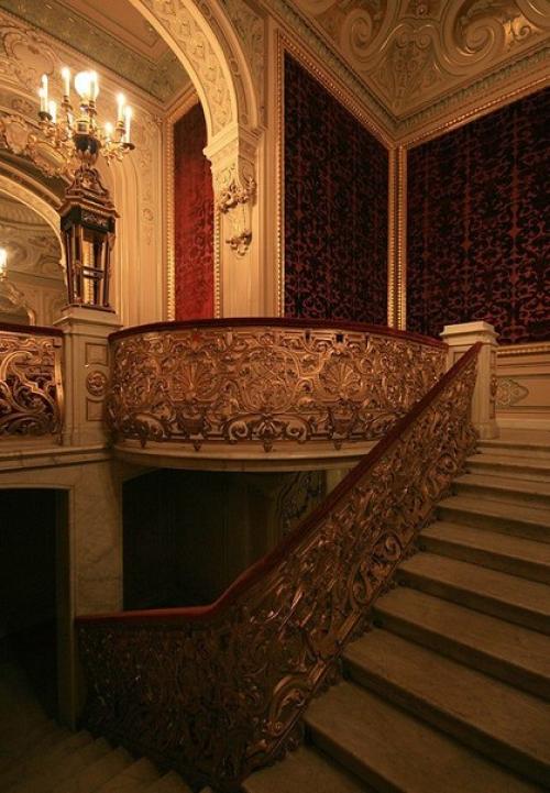 Дом учёных.  Владимирский дворец. 04