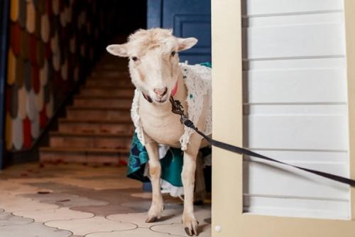 Все-таки в хипстерской культуре что-то есть. 01