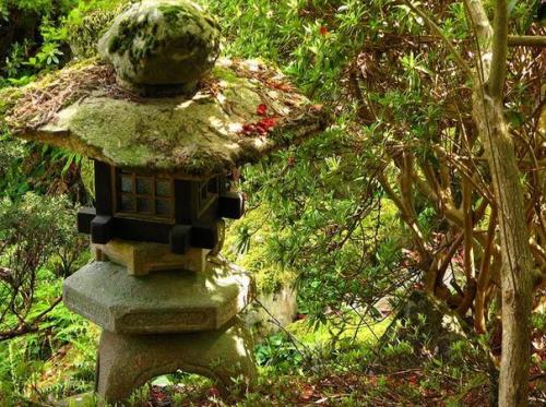 Средневековый замок хэтли на острове Ванкувер. 06