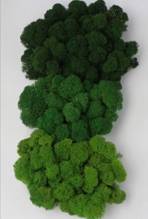 Домочадцев и гостей удивить? 02 Домочадцев и гостей удивить? 02