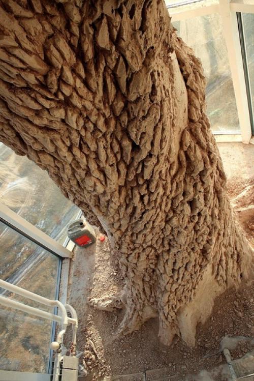 Имитация дерева гипсовой штукатуркой! 04