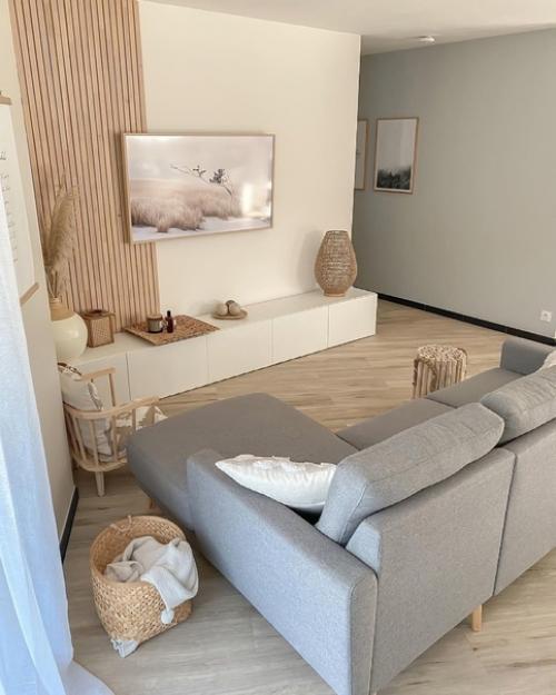 Сepый или бежeвый диван? 03