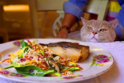 Ресторан МариVanna.  Это секретное закрытое заведение для Своих с удивительной концепцией, уютным интерьером и домашней кухней. 05