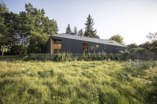 Дерево_в_архитектуре_мира. 08 Дерево_в_архитектуре_мира. 08