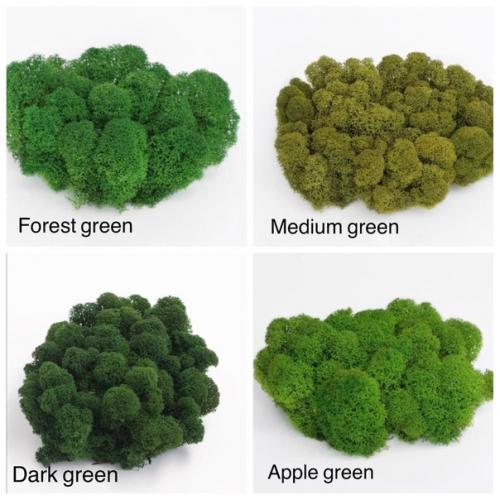 Домочадцев и гостей удивить? 03 Домочадцев и гостей удивить? 03