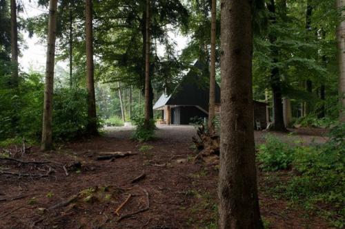 Лесной дом шопфхольц (Forsthaus Chopfholz) в Швейцарии от G O A - Gerber Odermatt Architekten. 03