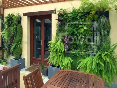 Вертикальное озеленение своими руками. 03