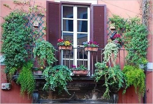 Озеленение балкона, лоджии, террасы. 03