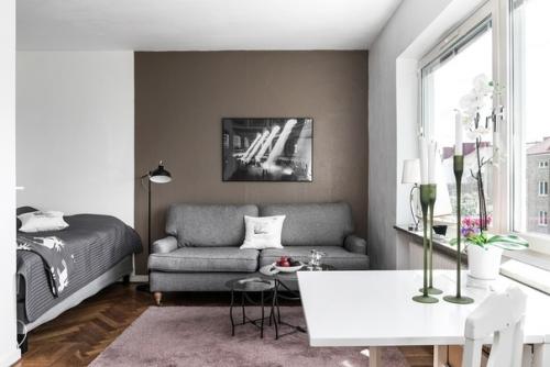 Крохотная шведская студия площадью 24 кв. 08