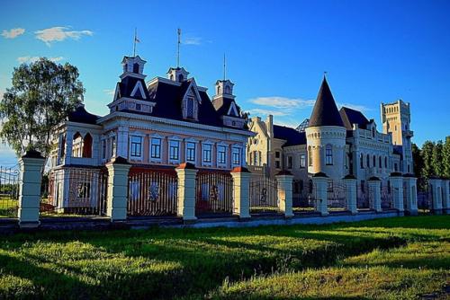 Несколько слов об истории замка понизовкиных в красном профинтерне. 06