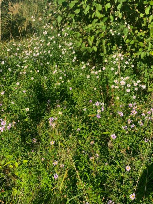 Сама не заметила, как груз на плечах намного превысил свои размеры. 02