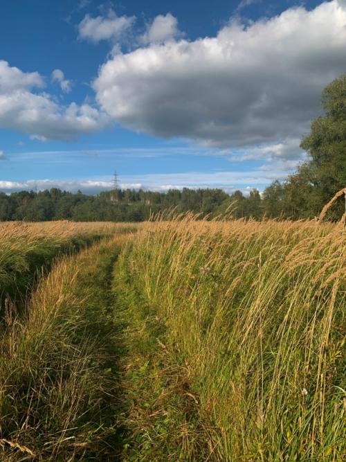 Сама не заметила, как груз на плечах намного превысил свои размеры. 03