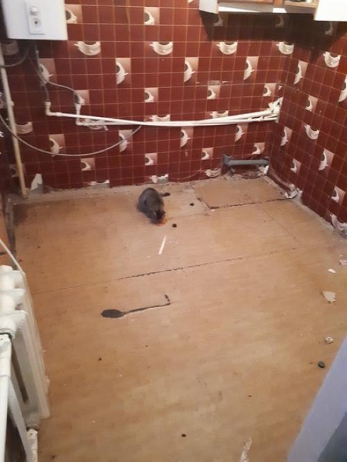 Мой первый ремонт своими руками в 19 лет обновил кухню, по времени заняло у меня 1, 5 месяца. 01