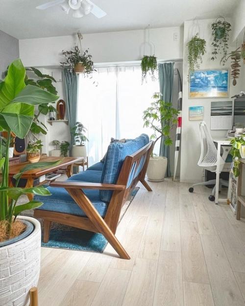 Как вырастить городские джунгли в интерьере. 05