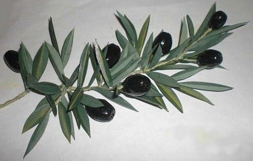 Виноград из желудей. 09