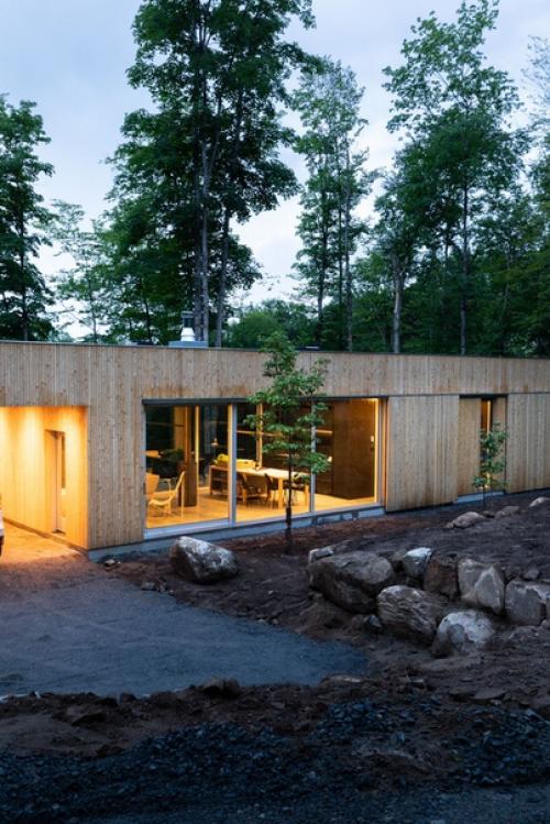 Дерево_в_архитектуре_мира. 02