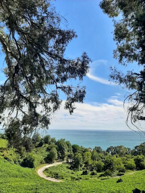 Дача Сталина была построена в 1947 году, недалеко от новоафонского монастыря, проект имел кодовое название объект номер 8 Ласточкино Гнездо. 06