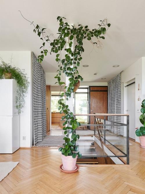 Финский скульптор Пекка Юлхя считает, что лучше всего его дом выглядит днем, когда солнце светит под правильным углом. 01