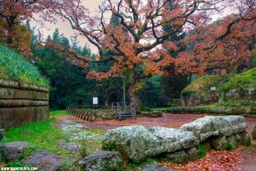 Черветери - небольшой, выстроенный на скале, живописный городок в 40 км от Рима. 05