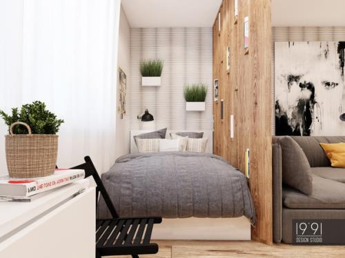 Маленькая квартира - студия, общей площадью 30 м 2. 02