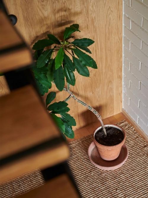 Финский скульптор Пекка Юлхя считает, что лучше всего его дом выглядит днем, когда солнце светит под правильным углом. 08