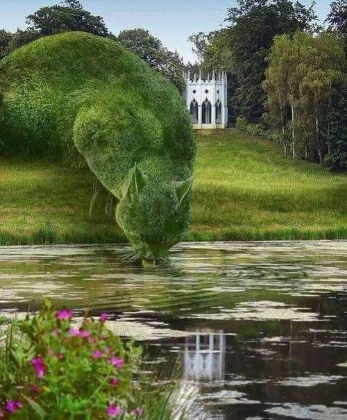 Вот это настоящий ландшафтный дизайн! 04