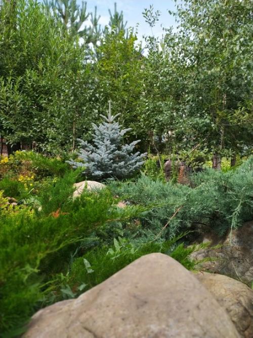 Санатории и дома отдыха на зелёной поляне. 01