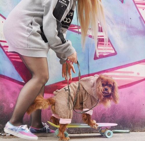 Что делать одной дома?