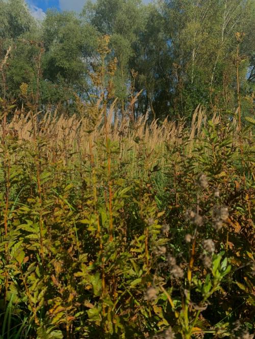 Сама не заметила, как груз на плечах намного превысил свои размеры. 05