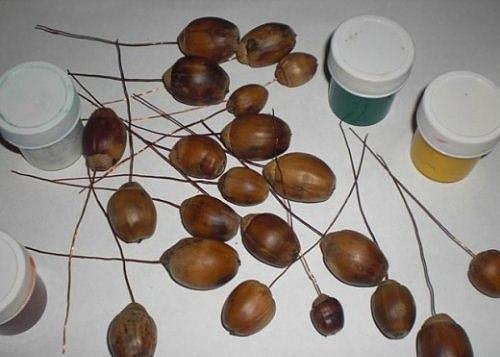 Виноград из желудей. 05