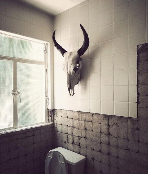 Cadena Acociados (Мексика. 08